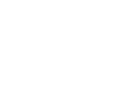 南電-removebg-preview